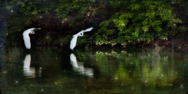 Magical Realism Surrealism