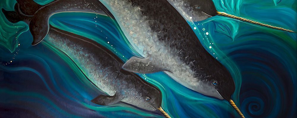 Narwhals Sm Art | Marissa of the North
