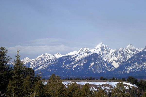 View All