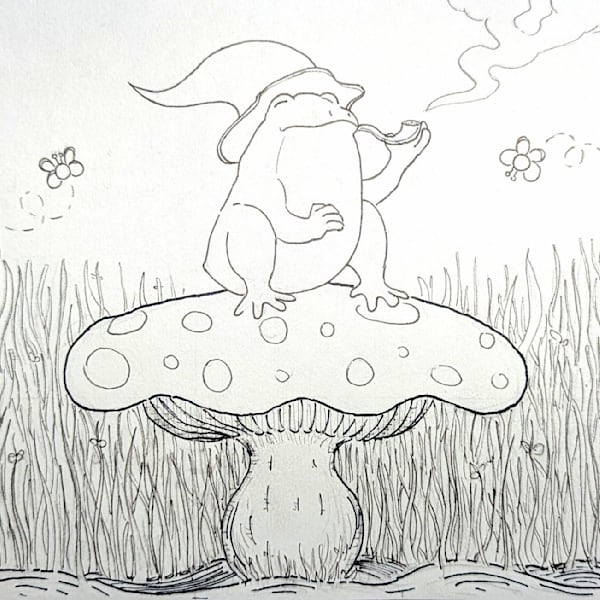 Toad Art | The Artwork of John Drake