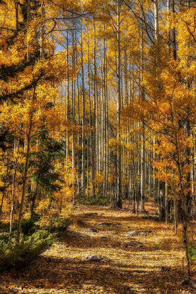 Autumn Landscapes