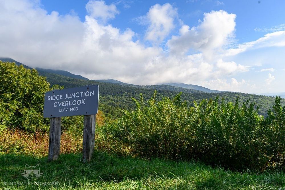 Blue Ridge Audubon Birding at Ridge Junction Overlook 2026-09-06