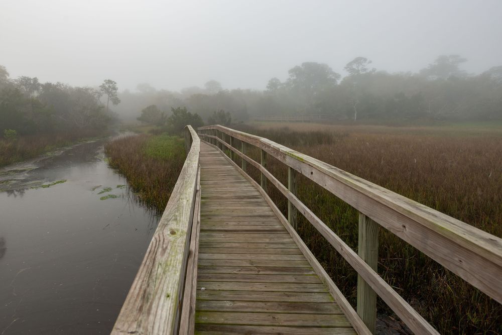 Boardwalk Through Fog – Amelia Island Fine Art Print