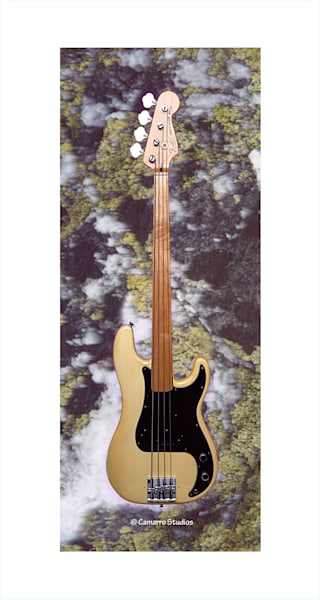 Fender Fretless Bass