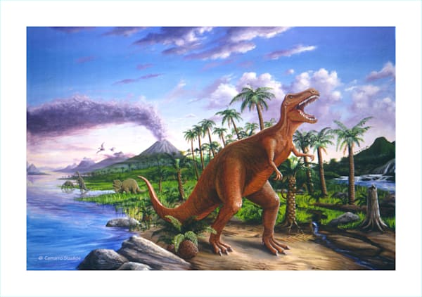 Prehistory