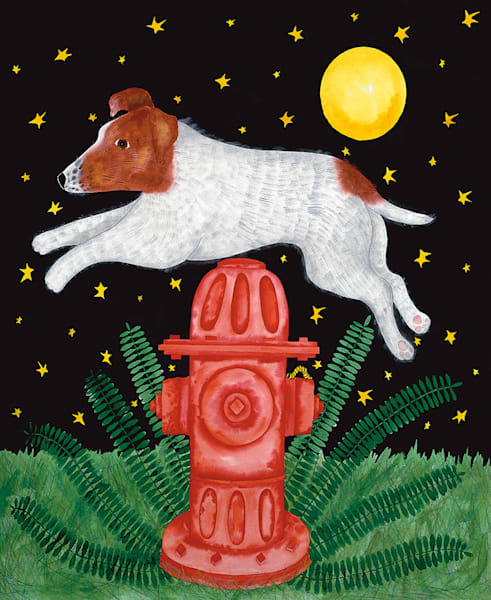 Jack Russell | Anne Hathaway Art