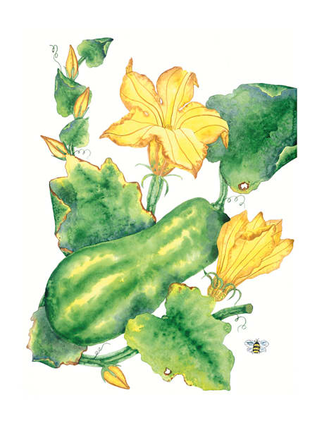 Melons 1 | Anne Hathaway Art