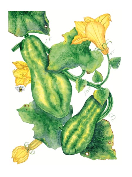Melons 2 | Anne Hathaway Art
