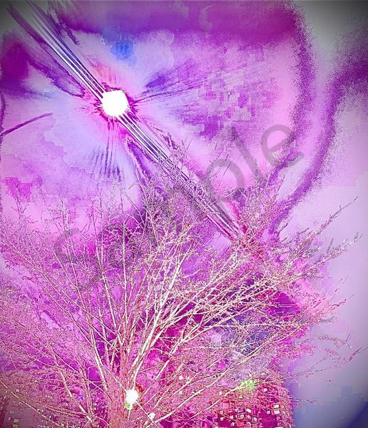 Angelic Vibrations Of Nature #3 Photography Art | Svetlana Margolina Photography