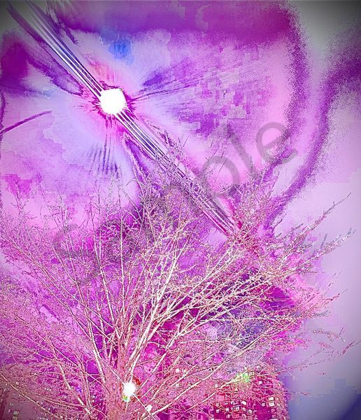 Angelic Vibrations Of Nature #3 Photography Art | Svetlana Margolina Photography