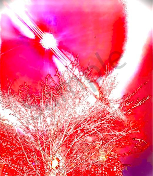 Angelic Vibrations Of Nature #7 Photography Art | Svetlana Margolina Photography