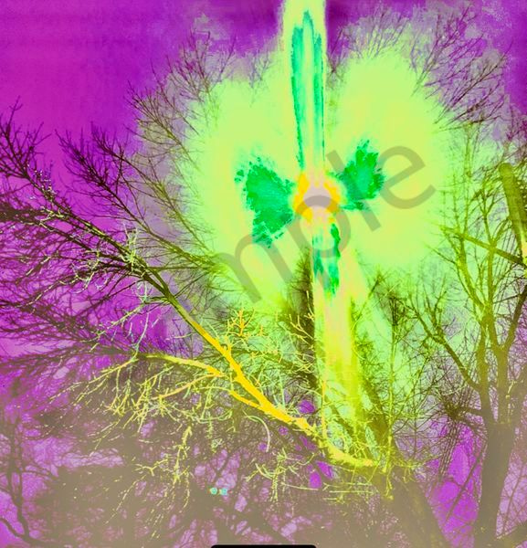 Angelic Vibrations Of Nature #4 Photography Art | Svetlana Margolina Photography