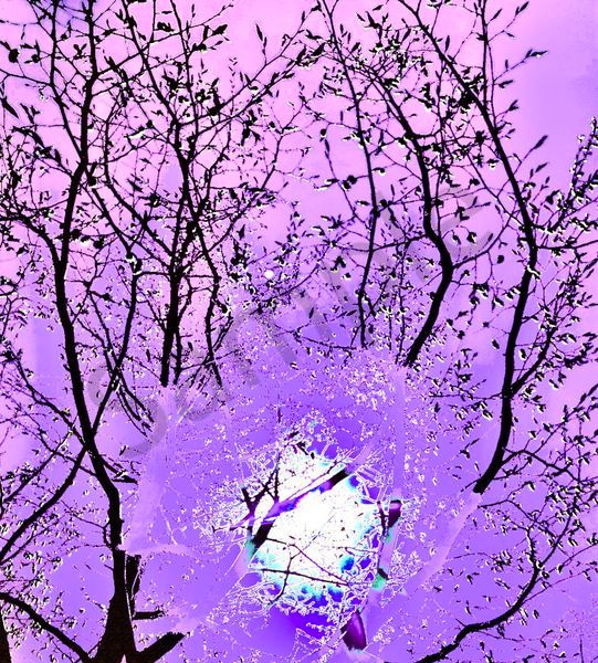 Angelic Vibrations Of Nature #9 Photography Art | Svetlana Margolina Photography