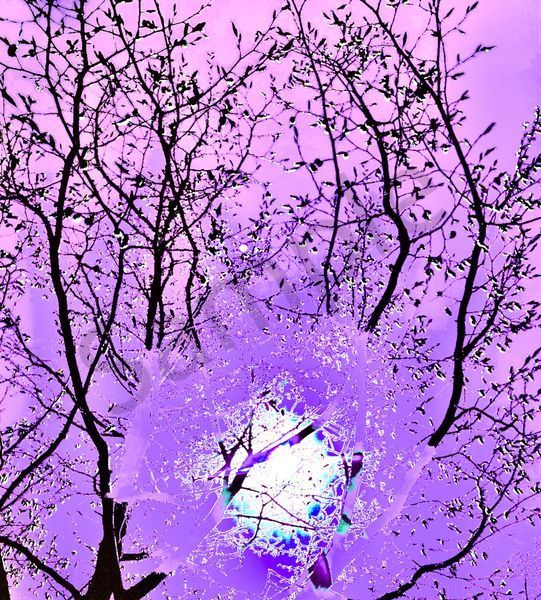 Angelic Vibrations Of Nature #9 Photography Art | Svetlana Margolina Photography