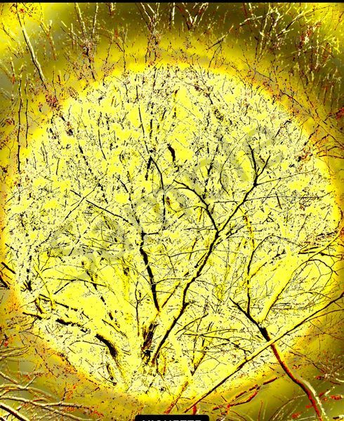 Angelic Vibrations Of Nature #12 Photography Art | Svetlana Margolina Photography