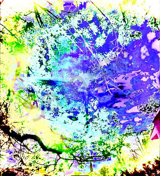 Angelic Vibrations Of Nature #15 Photography Art | Svetlana Margolina Photography