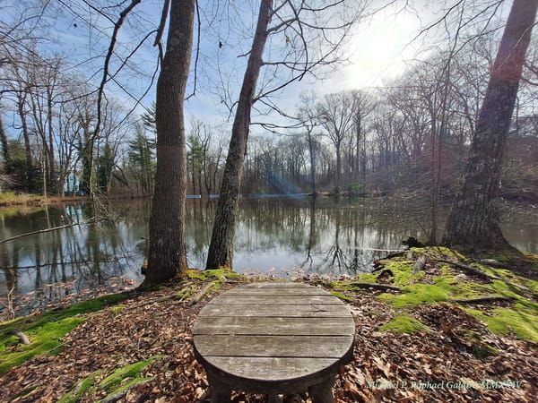 Baily Arboretum