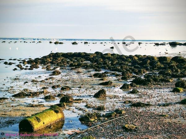 Rocks on the Water tif
