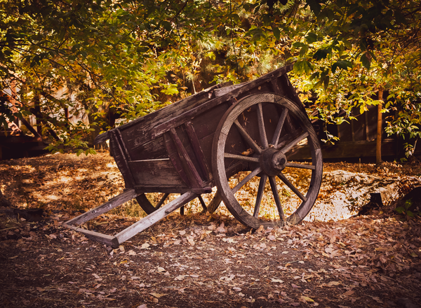 Apple Cart Photography Art | Jeffrey Brown Photography