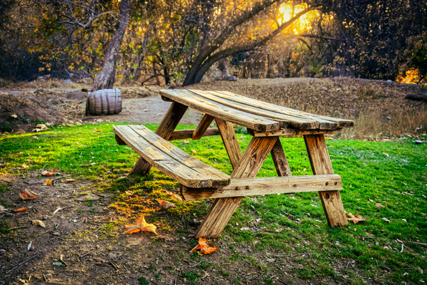 Picnic