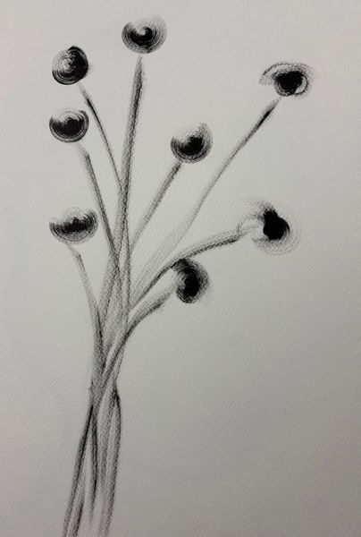 Black and White