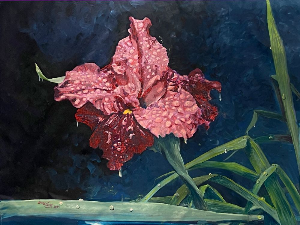 Iris After The Rain Art | Dan Terry