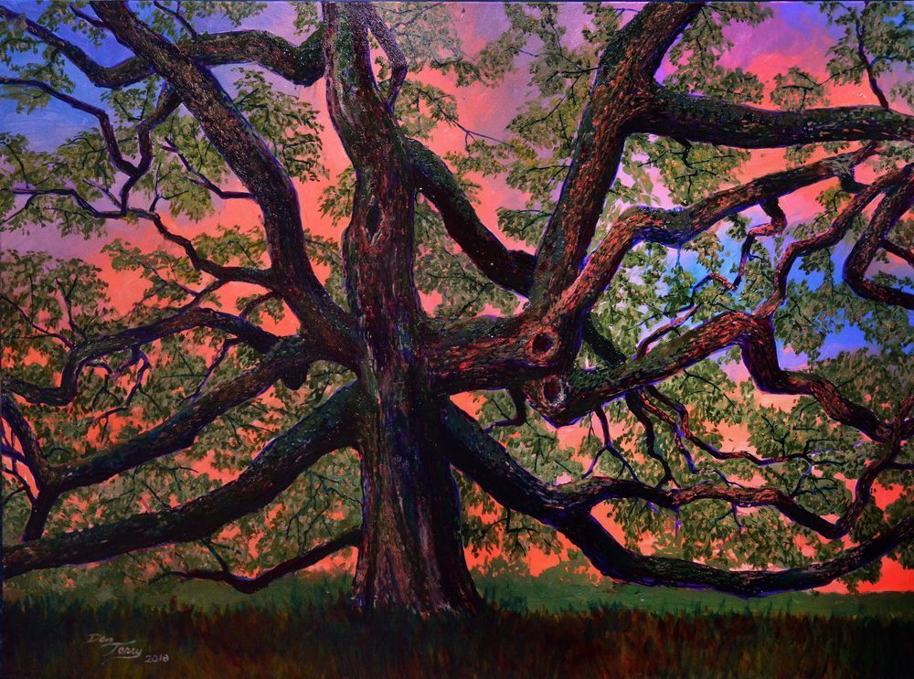 Oak Sunset Art | Dan Terry