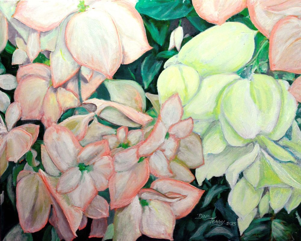 Coral Floral Art | Dan Terry