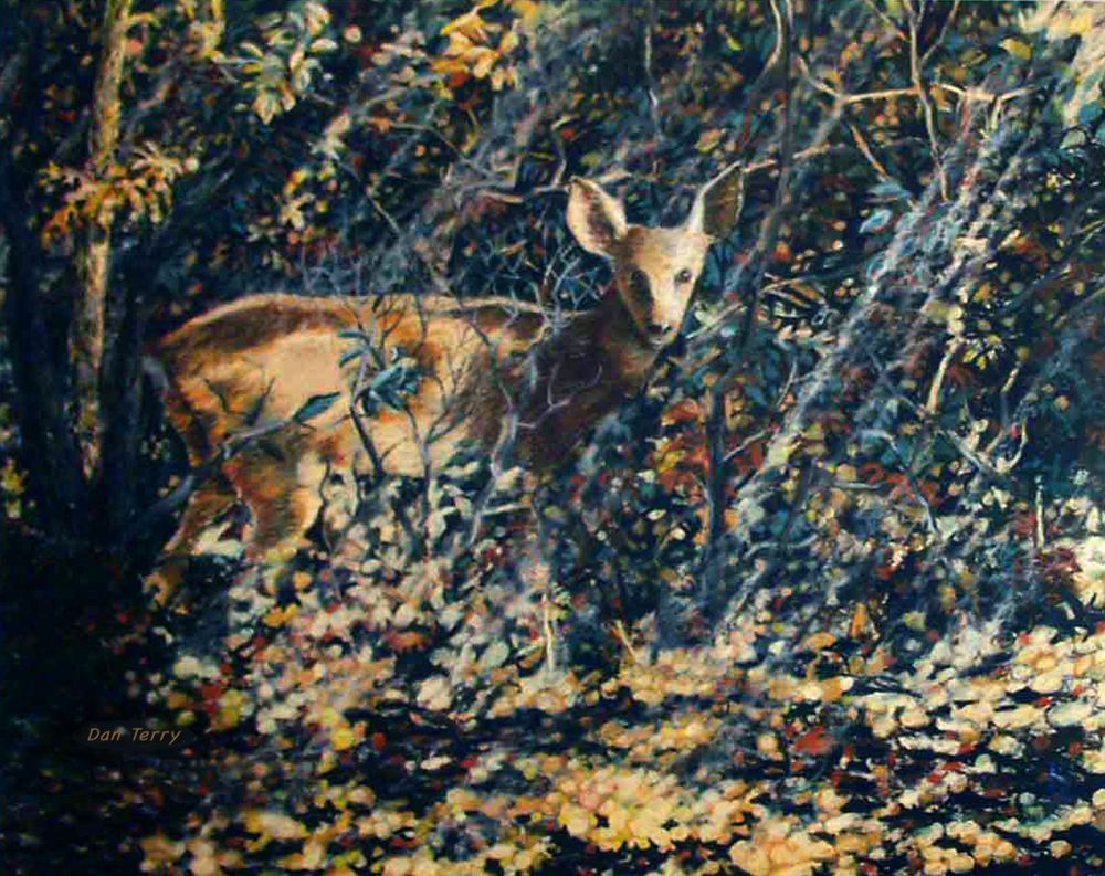 Animals & Wildlife