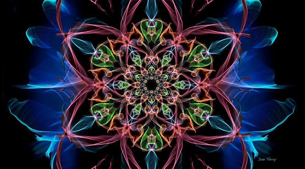 Floral Glowbloom Art | Dan Terry