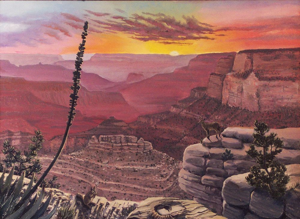 Grand Canyon Landscape Art | Dan Terry