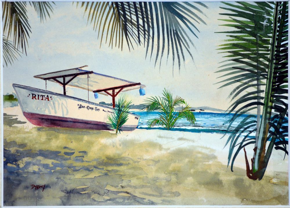 Fishing Boat On Puerto Escondido Beach Art | Dan Terry