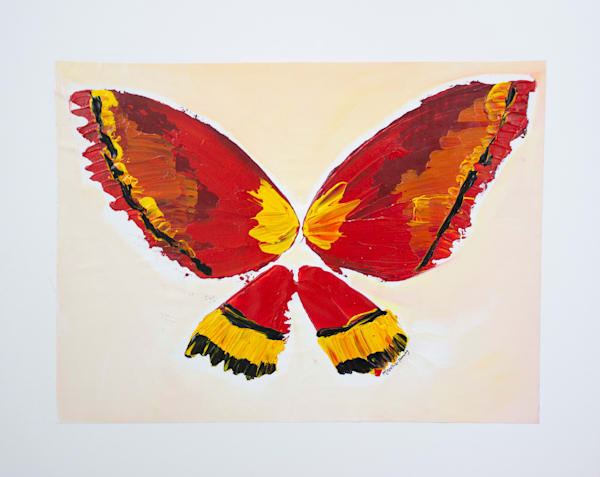 Transform Your Walls with Handcrafted Butterfly Art - Explore Our Collection