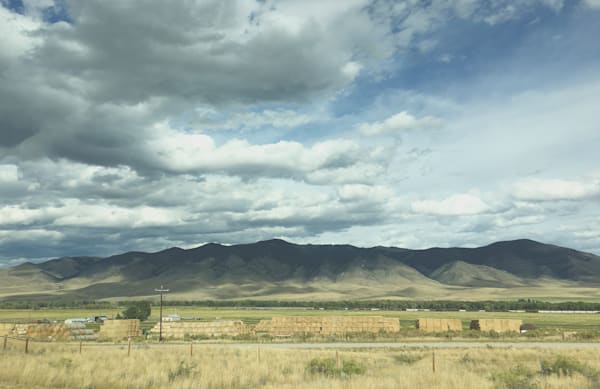 LANDSCAPES + NATURE