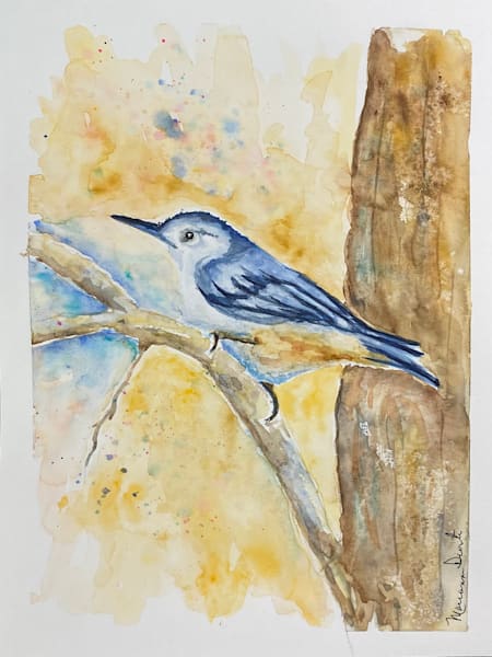 NutHatch