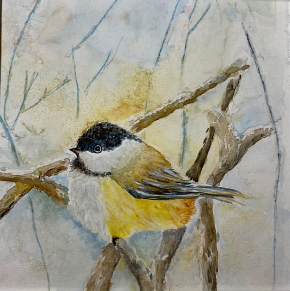 Chickadee Chilling