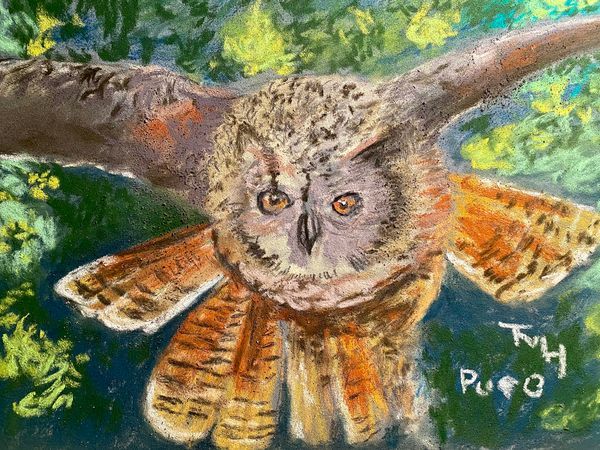 Wildlife