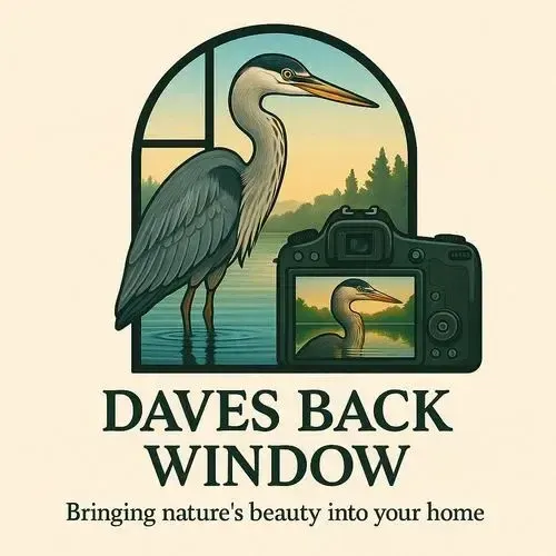 Dave's Back Window