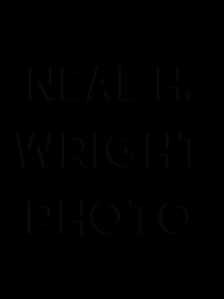 B22 S61 Large Pink Purple Dream Flower Fantasy Art | NAS Ventures dba as Neal Wright Photography
