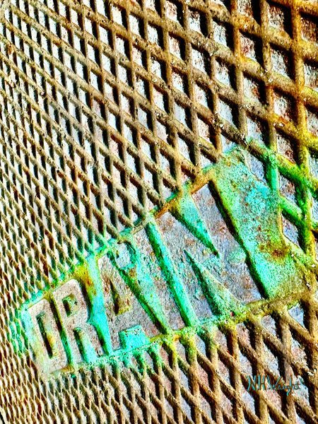 Drain The Swamp Green Drain 