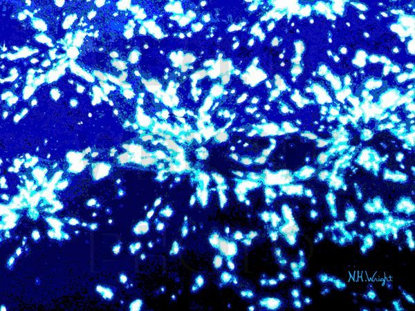 Posterized Cucumber Skin Cosmos Art | NAS Ventures dba as Neal Wright Photography