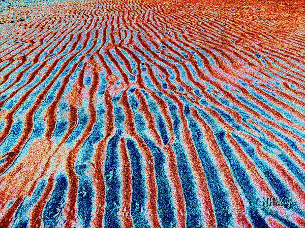 B22 S92 Large 8000 Kw Beach Sandparallel Line Posture Solar H Contrast Sat Art | NAS Ventures dba as Neal Wright Photography
