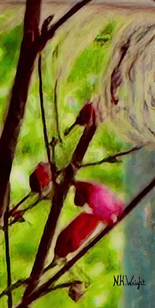 "Feather in Red Leaf Flower Bush"
