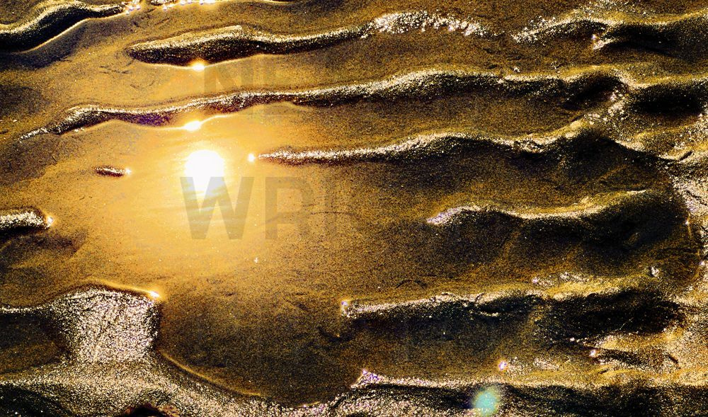 B23 Ns3 Large Sandy Morning Sun Pe4 Phd1 Pe4 Art | NAS Ventures dba as Neal Wright Photography