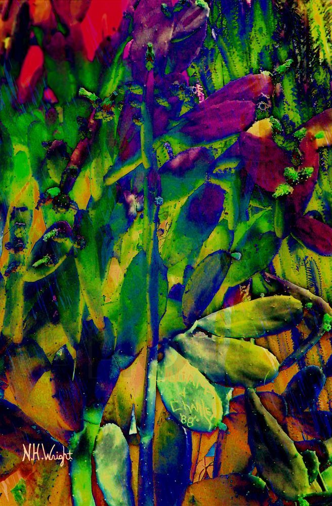 B22 S63 Large Carribean Flowering Cactis Art | NAS Ventures dba as Neal Wright Photography