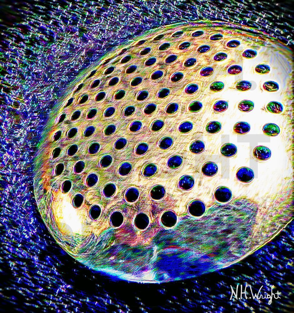 Proteus Holy Motile Spaceship Art | NAS Ventures dba as Neal Wright Photography