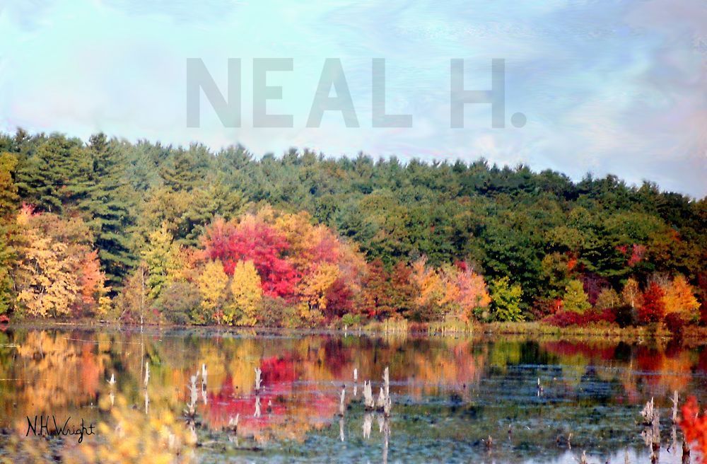 Foliage Reflected In Still Water Art | NAS Ventures dba as Neal Wright Photography