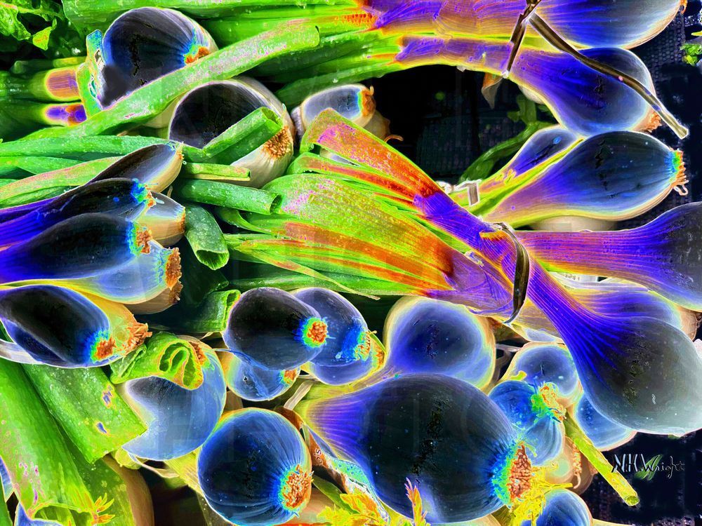 "Solarized Green Onions" 