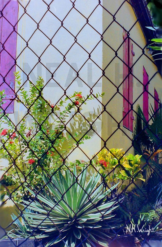 Behind The Fence 