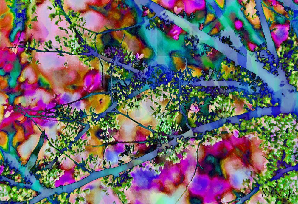 Branches Leaves Color Tree